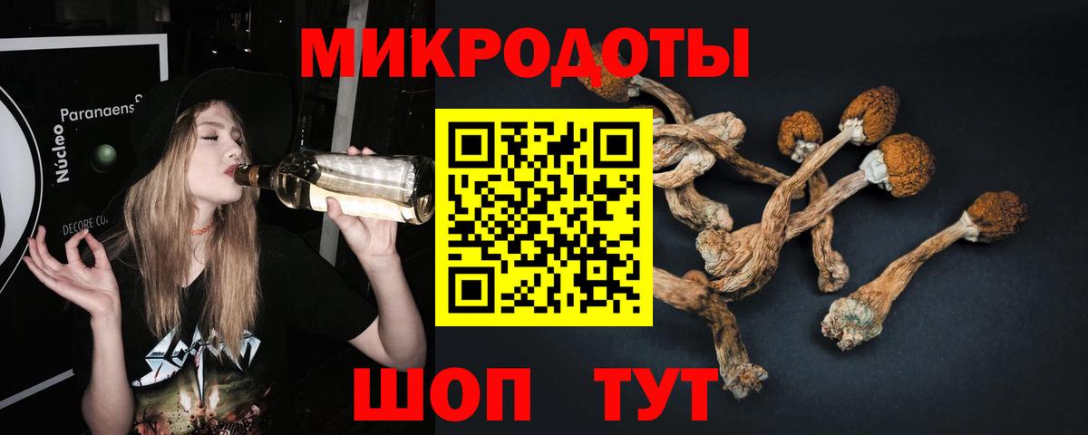 Псилоцибиновые грибы мицелий  Галлюциногенные грибы GOLDEN TEACHER  Старый Оскол  Вход с VPN 