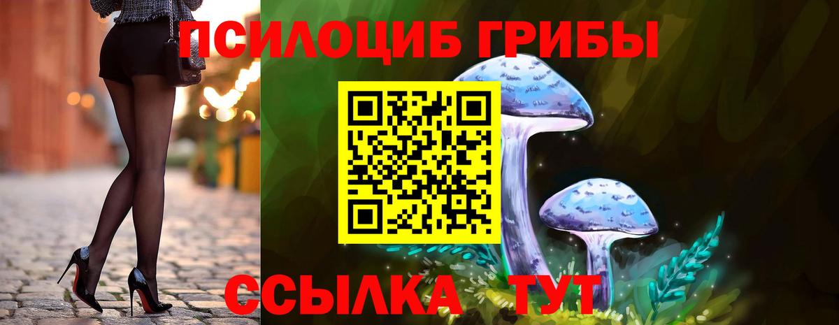 Псилоцибиновые грибы Psilocybe Старый Оскол
